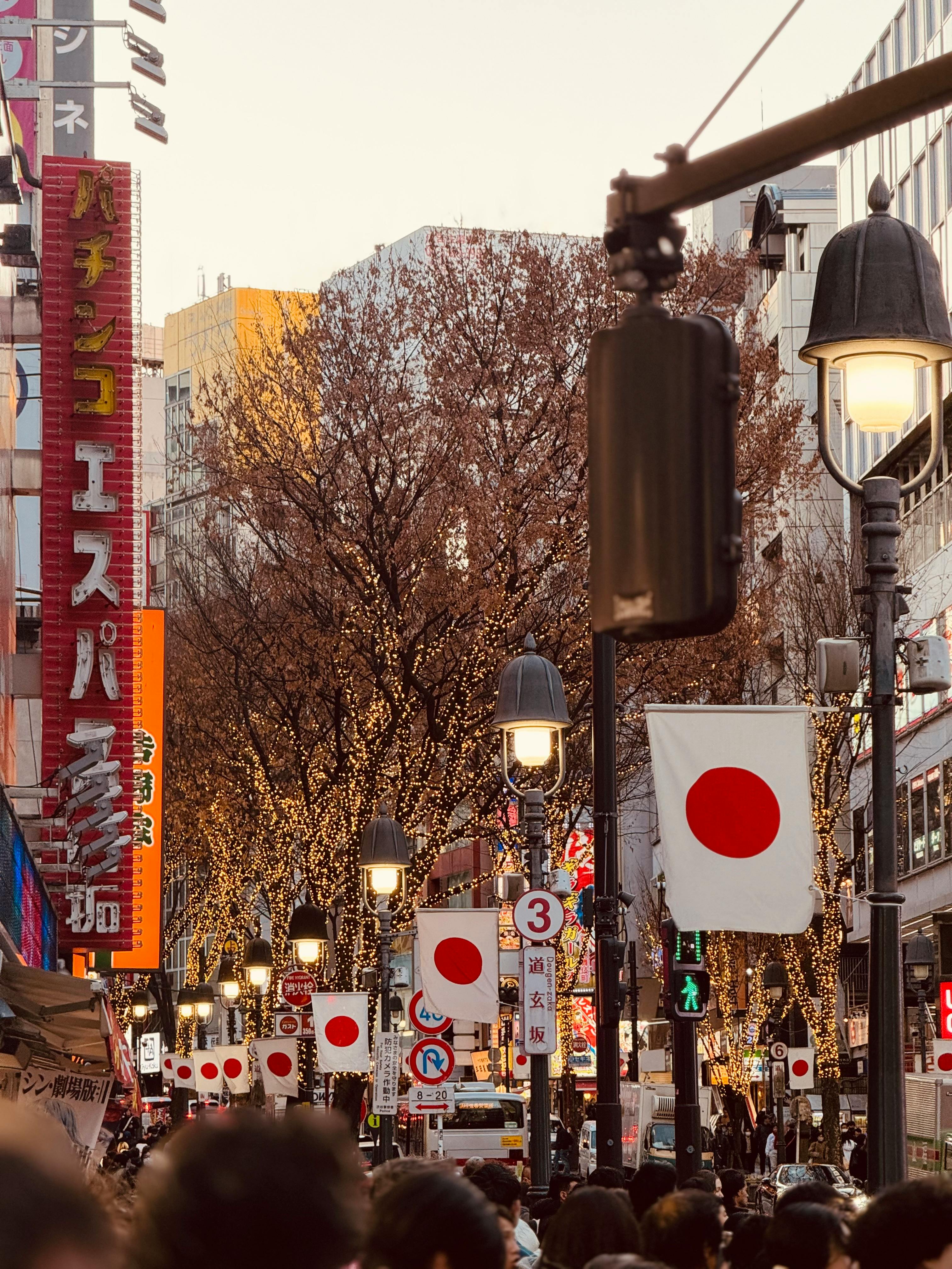 Japan Visa from Dubai